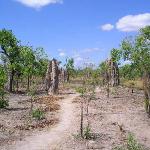 Kakadu Park