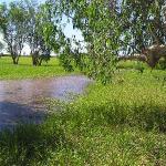 Kakadu Park