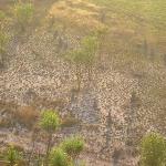 Kakadu Park