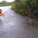 Kangaroo Island