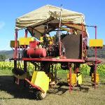 Joe and Peter Tobacco's Farm