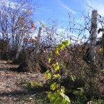 Autunno in Buffalo RIver