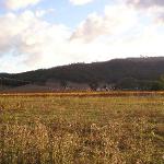 King Valley: Strange thing