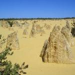 Nambung National Park and Pinnacles Desert