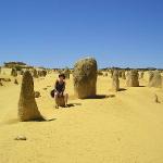 Nambung National Park and Pinnacles Desert