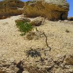 Nambung National Park and Pinnacles Desert