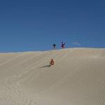 Geraldton SandBoarding