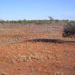Il leggendario The Ghan