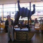Il leggendario The Ghan