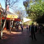 Il leggendario The Ghan