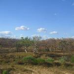 Il leggendario The Ghan