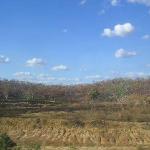 Il leggendario The Ghan