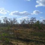 Il leggendario The Ghan