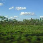 Il leggendario The Ghan