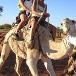 Camel Trophy