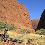 Kata Tjuta - The Olgas
