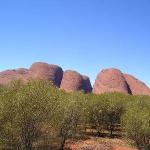 Kata Tjuta - The Olgas Il dipinto del TOLO