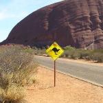 Uluru - Ayers Rock