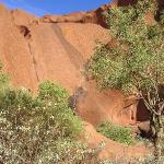 Uluru - Ayers Rock
