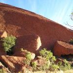 Uluru - Ayers Rock