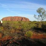 Uluru - Ayers Rock