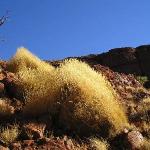 Uluru - Ayers Rock