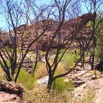 Uluru - Ayers Rock