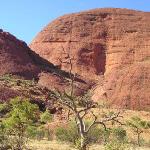 Uluru - Ayers Rock