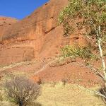 Uluru - Ayers Rock