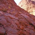Uluru - Ayers Rock