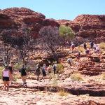 Uluru - Ayers Rock