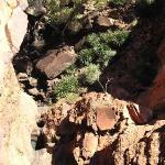 Kings Canyon