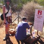 Kings Canyon