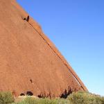 Outback - Come fare la cacca