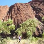 Uluru - Ayers Rock