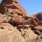 Uluru - Ayers Rock