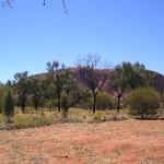 Uluru - Ayers Rock