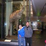 Auckland e Dintorni