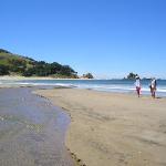 Coromandel Peninsula