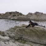 Animali & Wildlife