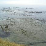 2 GIORNO Kaikoura - Picton