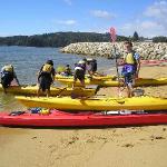 5 GIORNO Marahau (Abel Tasman) - Murchison