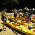 5 GIORNO Marahau (Abel Tasman) - Murchison