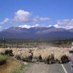 9 GIORNO Queenstown - Milford Sound