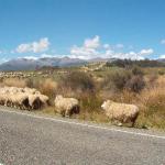 9 GIORNO Queenstown - Milford Sound