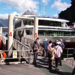 10° GIORNO Milford Sound (Scenic Route) - Curio Bay