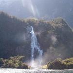 10 GIORNO Milford Sound (Scenic Route) - Curio Bay