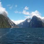 10 GIORNO Milford Sound (Scenic Route) - Curio Bay