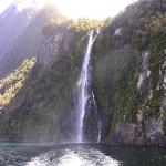 10 GIORNO Milford Sound (Scenic Route) - Curio Bay