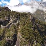 10 GIORNO Milford Sound (Scenic Route) - Curio Bay